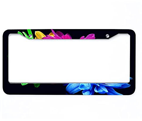 Auto-Tag-Abdeckung aus Aluminium, blau, bunt, grün, 2 Löcher, Nummernschild-Halter