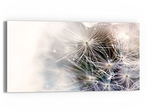 DEQORI Glasbild Echtglas | Motiv Detailaufnahme Pusteblume | horizontal einteilig 60x30 cm | schöne Dekoration | Wandbild für Wohnzimmer, Schlafzimmer, Flur & Küche | moderne Wanddeko