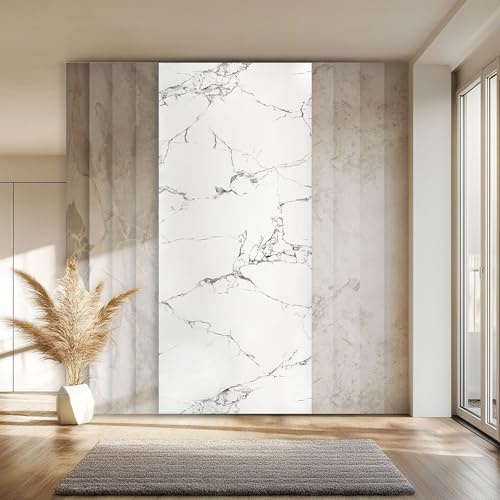 HEXIM Marmorplatten Optik 1 Stück 280x122 cm SPC Kunststoff Innen & Außenbereich Granit Steinoptik - Duschrückwand Küchenrückwand Spritzschutz Wandplatte (3,42 m² 2010) A-Serie