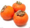 Japanische Persimmon, (25 Samen) Asian Persimmons (Diospyros kaki-Fuyu) Baum Strauch