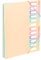Viquel - Dokumentenmappe A4 mit 12 Fächern Rainbow Pastell