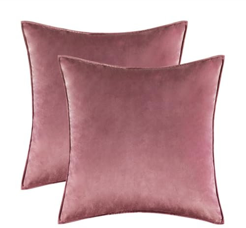 Wambere 2 Stück Samt Kissenbezug Kissenhülle Zierkissen Dekorative Dekokissen Sofakissenbezüge Sofakissen Lendenkissen Couchkissen Wurfkissenbezug mit Verstecktem Reißverschluss,Altrosa,60x60cm