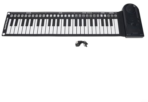 Hasaller Faltbare Silikon Pia-no Keyboard Tragbare 49 Tasten Roll Up Pi-ano Keyboard Flexible Elektronische Orgel mit 8 Trommelrhythmen 16 Tönen 6 Demo-Songs USB-Aufladung für Anfänger Erwachsene (B)