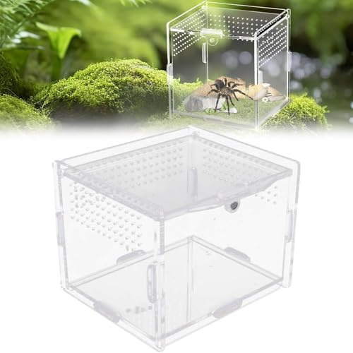 Reptile Fütterungsbox, Reptilien Transportbox, Transparente Acryl Terrarium, Insekten Futterbox, Transparent Zuchtbox für Spide, Eidechse, Skorpion, Tausendfüßler, Gehörnter Frosch (10x8x7cm)