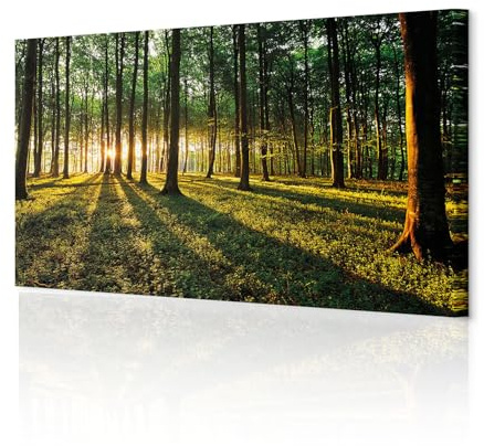 decomonkey Bilder Wald 150x50 cm XXL 1 Teilig Leinwandbilder Wandbild Natur | Strukturleinwand, Holzkeilrahmen, Bild auf Leinwand, Kunstdruck, Wanddeko, Wohnzimmer, Wanddekoration, Landschaft, Sonne