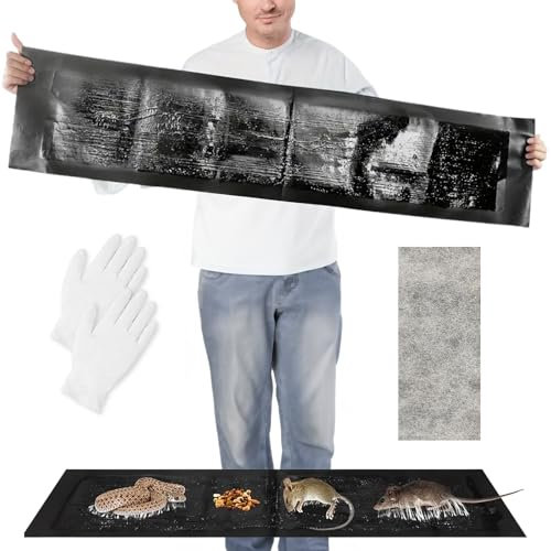 BB: Trampa Adhesiva para Ratas e Insectos Pegamento Ratones - Trampas Adhesivas cucarachas y Ratas - Ratonera para atrapar Ratas Trampa cucarachas Ratan Trampa Adhesiva Ratones