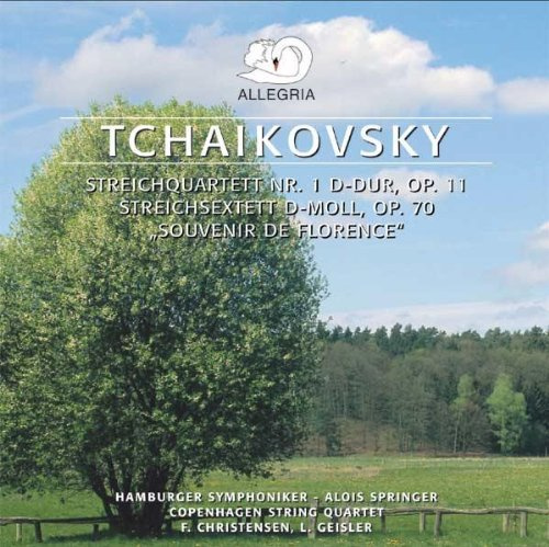 Streicherserenade (Tschaikowsky,Peter Iljitsch)