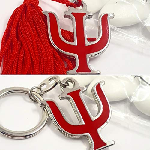 12 simboli laurea PSI nappa/portachiavi laurea in psicologia *L* (12 pz fai da te con portachiavi + 1 degustazione)