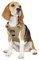 Funfox Hundegeschirr Mittelgroße Hunde [M] - Verstellbares Anti-Zug Brustgeschirr mit Griff & Reflektorstreifen, Atmungsaktives No Pull Hundegeschirr für Grosse/Kleine Hunde Outdoor Braun