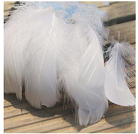Yurosiay 100 Stück Bunt Federn Natürliche Federn Handwerk Gänsefeder Bunt Federn Deko Federn zum Basteln Flaumfedern Bastelfedern Deko für DIY Ohrring Kopfschmuck Traumfänger 6-12cm Weiße