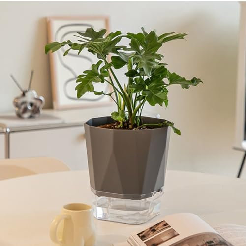 SPORTARC Pot de fleurs hydroponique à arrosage automatique, pot de fleurs en plastique transparent double couche, pot de fleurs amovible pour balcon, jardin