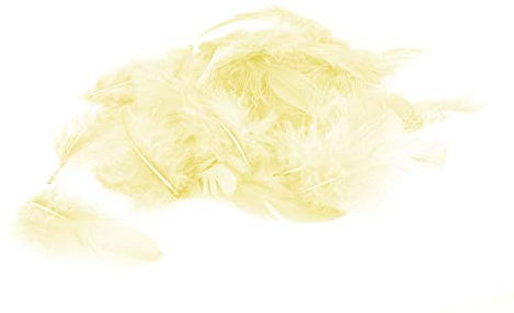 5g Bastelfedern 5-10cm ivory/elfenbein 810 Dekofedern Hühnerfedern Marabu Federn Schmuckfedern Marabufedern