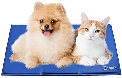 GoStock Kühlmatte für Hunde, Kühlmatte für Haustiere Ungiftiges Gel-Selbstkühlende Matte für Hunde und Katzen, Pet Cooling Mat Hund Cooler Pad für Kisten, Zwinger und Betten (65 * 50cm)