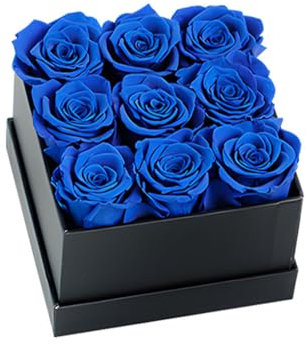mophrati Rose préservée boîte Fleur éternelle immortel matériel Bouquet coloré Auto-Assemblage Cadeau d'anniversaire pour Les Ornements d'anniversaire, Noir Bleu, 9 têtes