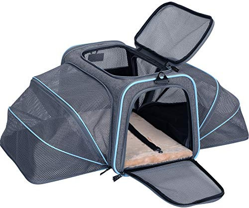 Petsfit Faltbarer Transporttasche Katze und Hund,Katzentransportbox Hundetragetasche erweiterbare Flugtasche Oxford Gewebe mit Schultergurt für Katze und Hund