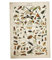 TOSSPER Vintage Insekten Poster Schmetterlinge Bienen-Wand-Kunst-Aufkleber Biologie Grafik Lehre Tapete Für Schlafzimmer Wohnzimmer Kinderzimmer
