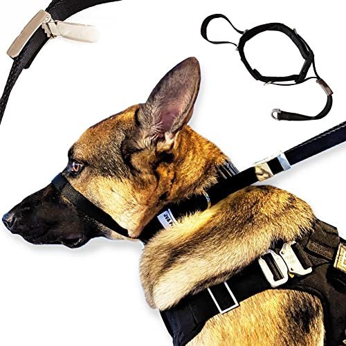 PetsProMax - Hundehalfter, No-Pull Hundehalsband, Trainingshundehalsband | Walking/Trainingshalsband für Hunde | Stoppt Ihren Hund sofort vom Ziehen Groß (L)