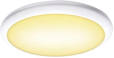 SLV Wand- und Deckenaufbauleuchte RUBA 42 CW/Beleuchtung für Wände, Wege, Eingänge, LED Spot außen, Aufbau-Leuchte Outdoor, Gartenlampe, Decken-Strahler/CCT switch 3000/4000K IP65 22W 2300lm weiß