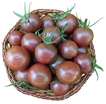 20 Samen TomateBlack-Cherry