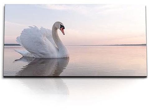 Paul Sinus Kunstdruck Bilder 120x60cm Weißer Schwan See Schwanensee Tierfotografie Horizont
