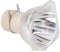 BTsan SP-LA-MP-095 Replacement Projector Lamp/Bulb for Info-cus IN1116/IN1116LC/IN1118HD/IN1118HDLC Lamp Projector