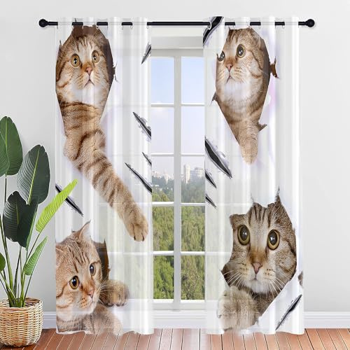 ENEN 2er Set Scheibengardinen Modern Halbtransparent Bistrogardine, 3D Cartoon-Katze Schlaufengardinen Gardinen Küche, Türgardine für Schlafzimmer Wohnzimmer (132x160cm,Katze)
