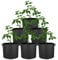 ELEpl 6 Pièces Sac de Plantation Non Tissé Épaissi 3 Gallons 12L Sac de Culture Potager avec Poignées Sacs à Plantes Noir Pot Geotextile Pots pour Plante en Tissu pour Pomme de Terre Fraises Fleurs