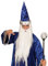 NET TOYS Baguette Magique - 122 cm | Canne avec Boule de Cristal | Baguette Magique avec Boule de Clairvoyance | Saruman Canne de sorcière