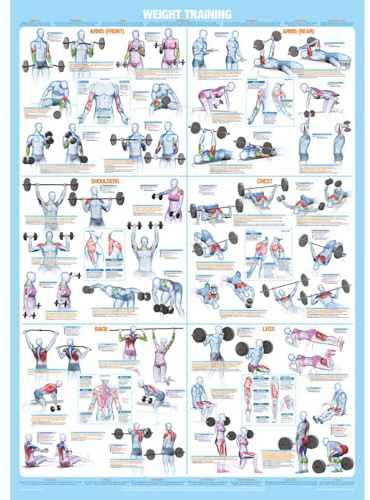 Chartex Weight Training Bodybuilding Poster | Barbell & Dumbbell Exercises