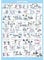 Weight Training Exercise Poster | Bodybuilding Exercise Chart | Whole Body Workout | Major Muscle Groups | Dumbbells | Barbells | Weight Lifting | Athletics | Strength Training | A2 Laminated Format