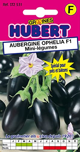 Graines d'Aubergine Ophélia F1 Mini-légumes, 10 Graines