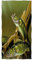 Violetpos Badetuch Amazonasboden Angeln Fisch Grün 70 cm x 140 cm Strandtuch
