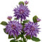 Grandes fleurs de dahlia artificielles de 19,1 cm avec longues tiges, 3 fleurs artificielles violettes et 3 faux bourgeons décoratifs, arrangements floraux pour décoration d'intérieur, salon, cuisine,
