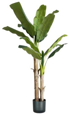 Avilia Banano Artificiale 170 cm in Polietilene con 17 Foglie, Pianta di Banano Artificiale perfetta per Decorare Ambienti Interni