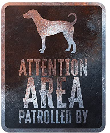 D&D Home, Warnschild Achtung am Hund, 25 x 20 x 0,3 cm, englische Version, schwarzer Hintergrund, Warnschild aus Metall, rostbeständig, mit lustigem Text