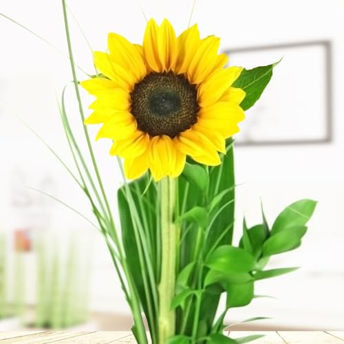 Sonnenblume mit Ruskus und Gräsern - Inklusive Grußkarte