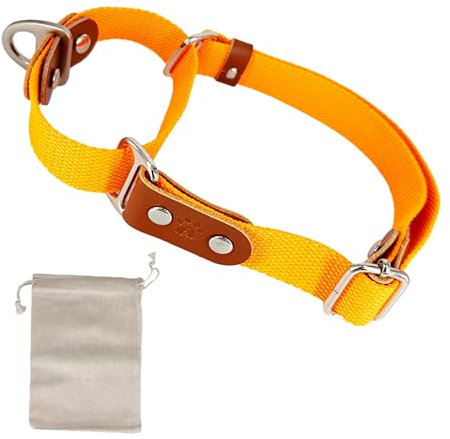 Martingalhalsband Hundewürgehalsband, Anti-Zug, Poly-Baumwolle und Leder. M. Orange & Cognac