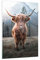 Bilder auf Glas Scotch Kuh Weide Glasbild 50x70cm Wandbilder Dekoration Wohnzimmer Schlafzimmer Küche Deko Klein Wanddeko Bild im Glas Wand Kunstdruck Art Modern Wall Decor Glasdruck GPA50x70-5188