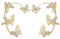 1-Paar Schmetterling Ohrringe Vintage Schmetterling Ohr Manschetten ohne durchbohrte Ohrclip Ohrringe glänzende Zirkon Hypoallergene Ohrringe für Frauen (golden)
