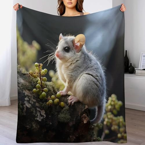 AAPZY Hamster Decke Super Soft Flannel Fleece Überwurfdecken Für Bettwsche Sofa Schlafzimmer Decken Wohnzimmer Reisen Vier Jahreszeiten Wohndecke (180×200cm)