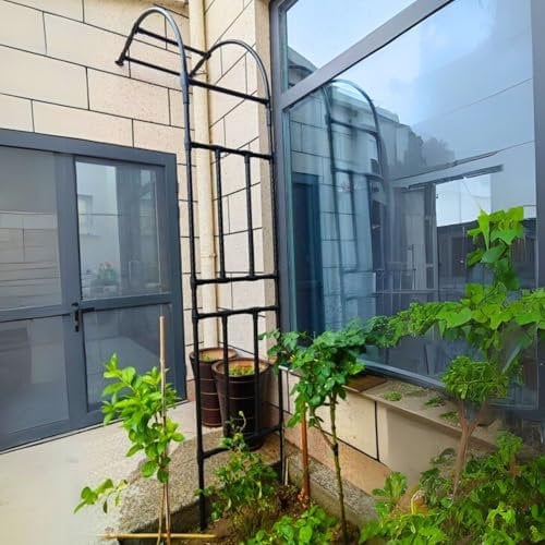 Metal Half-side Garden Arch Trellis 2.4m Large Arbor Wall Mounted Wedding Heavy Duty Steel Support Frame Pergola for Climbing Plants Stand Patio Yard Path(Black,60W x 240H cm)