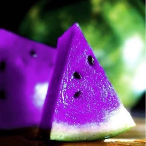 Jungjongjin 50 PC seltener lila Watermelon Seed Fruchtsamen, Riesen sehr große Wassermelone, Rate sprießt 95%, essbares Gemüse
