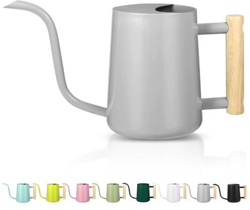 Arrosoir pour plantes d'intérieur – Petit arrosoir d'intérieur en acier inoxydable – Arrosoir décoratif moderne avec long bec pour plantes d'intérieur, bonsaï, fleurs de jardin (gris)