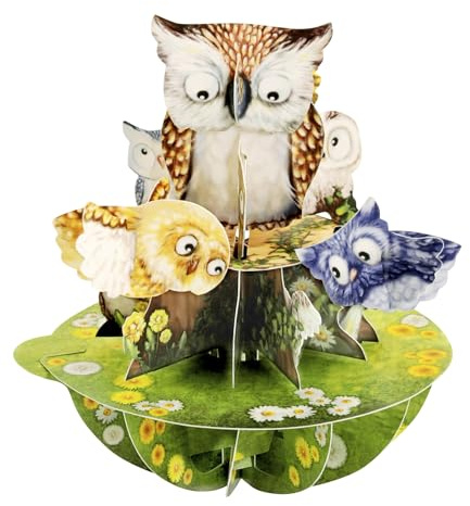 SANTORO Pirouette, Biglietto D'Auguri Pop Up 3D - Gufi - Per Lei, Lui, Bambini, Compleanno, Laurea | Regali Di Ringraziamento Per L'Insegnante | Carte Pop-Up Con Gufo