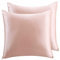 LULUSILK Taie d'oreiller en Soie 100% Naturelle - Soin de la Peau, Antichute des Cheveux, Fermeture à Glissière Invisible, 2 pièces, 65 x 65 cm, Pêche