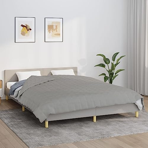 RAUGAJ Home Hardware Beschwerte Decke für Businese, Grau, 220 x 240 cm, Kingsize, 15 kg Stoff
