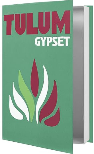 Gwezmxs Livre Factice, Boîte de Stockage Style pour Intérieur, Vert