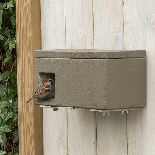 CJ Wildlife Nistkasten Sperling – Vogelnistkasten für draußen wetterfest – Holzbeton mit Plattform – 10 Jahre Garantie – Brutkasten für Haussperlinge