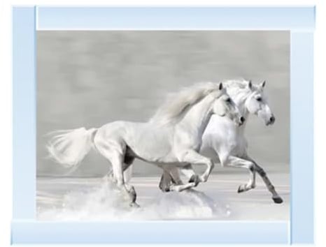 Biznest White Horses Picture Liquid 3D Wall Decor Glitter Wall Art Mirrored Frame Home Decoration Bedroom Living Room 55X55Cm An248