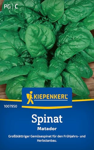 Kiepenkerl Spinatsamen Matador 1007950 - Robuste Gemüsesamen für Frühjahrs & Herbstanbau, schnelles Wachstum, großblättrige Spinatsaat für Gärten